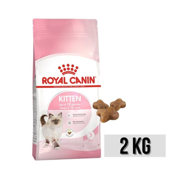 Royal Canin Kitten Food